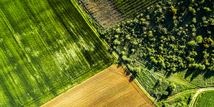 photograph of farm land