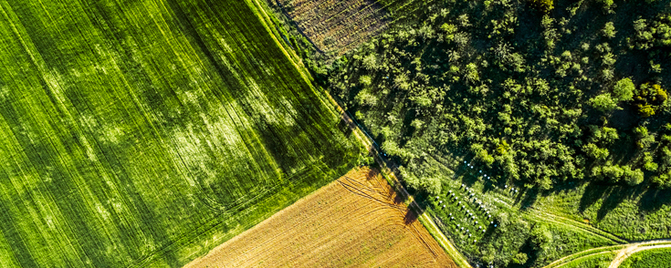 Our sustainability approach
