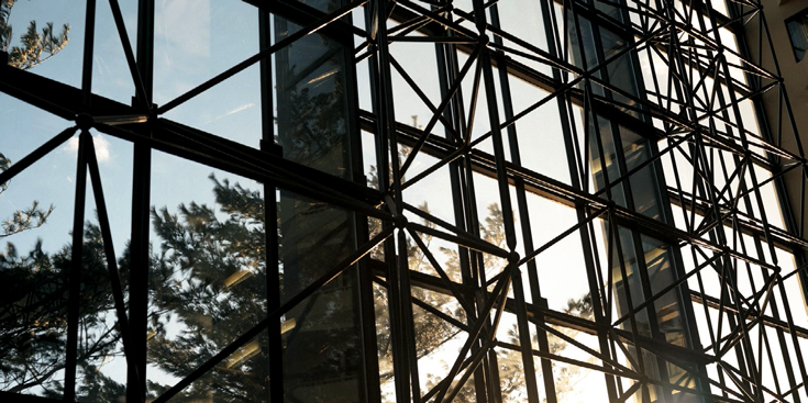 Photo of windows with metal grating