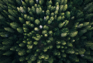 We released our Green Bond Framework and issued a C$1.0 billion 10-year Green Bond to fund projects that demonstrate positive environmental and climate outcomes.