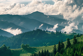 We continued to enhance our data-driven approach to integrating ESG factors into our investment and asset management processes and practices. We participated in a large number of industry collaboration initiatives that aim to accelerate ESG momentum and impact.
