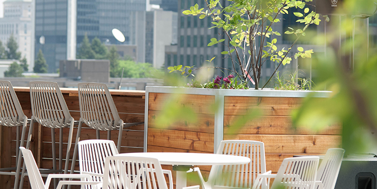 Photo of the Montreal office's terrace