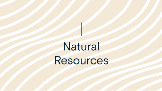PSP Investments partners with WSP to launch a comprehensive climate analysis of over 3 million hectares of timberland and farmland