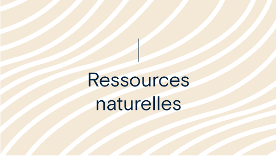 Investissements PSP s’associe à WSP pour lancer une analyse climatique complète de plus de 3 millions d’hectares de terres forestières et agricoles